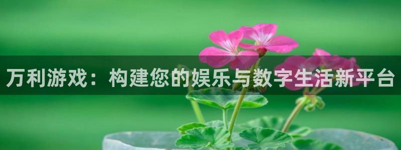 尊龙现在状况